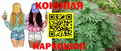 сатива Пыть-Ях
