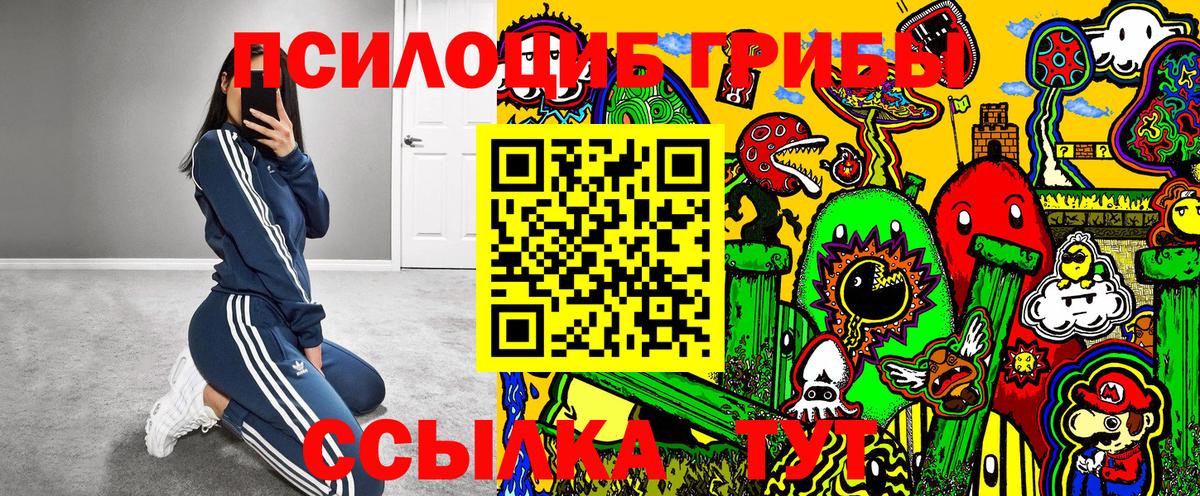 Саяногорск  Галлюциногенные грибы Cubensis  наркота  Вход с VPN 